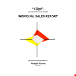 Individual Sales Performance Report example document template