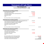 Statement of Cash Flow Example in XLS example document template 