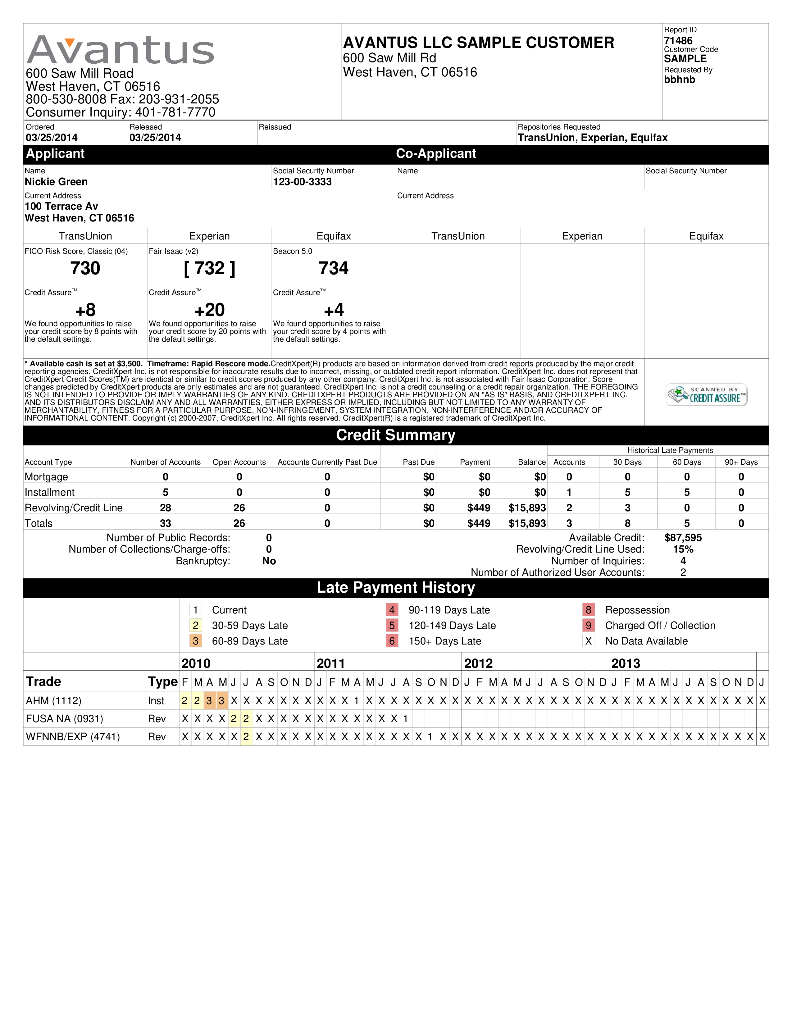 Merged Credit Report Template