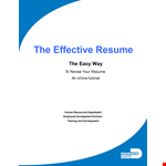 Hybrid Combination Resume example document template 