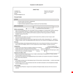 Professional Resume Skills Example example document template 