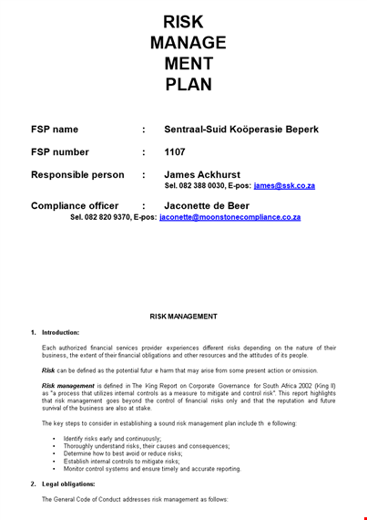 financial risk management plan - individualized approach for effective risk mitigation template