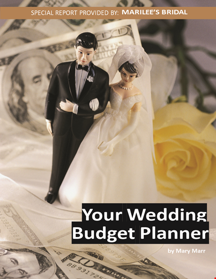 create the perfect wedding budget: corporate wedding budget template template