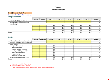 efficient cost benefit analysis template - calculate individual input and totals in years template