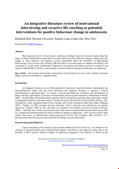 integrative literature review example template