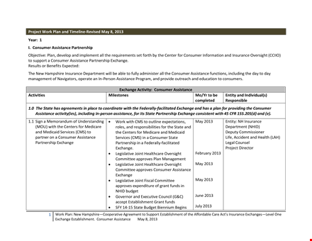 work plan timeline template template