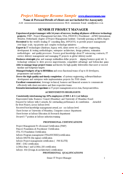 professional it project manager resume template