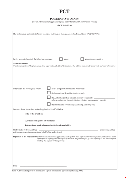 international power of attorney application - granting authority template