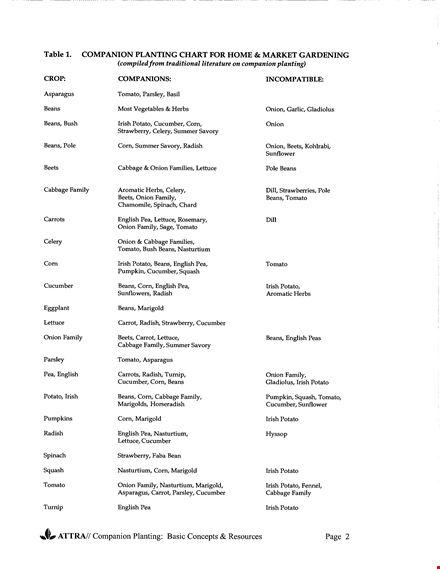 home companion planting chart template