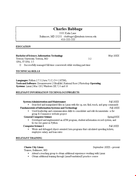 information technology resume example template