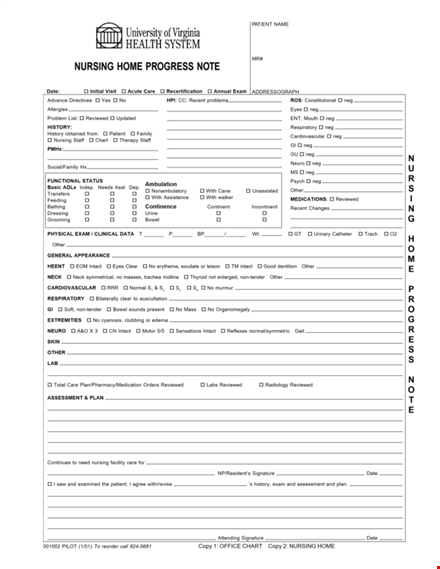 example of nursing note template | effective documentation for nurses template