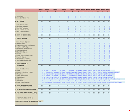 financial analysis report example in excel format template