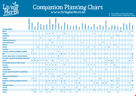 simple companion planting chart template