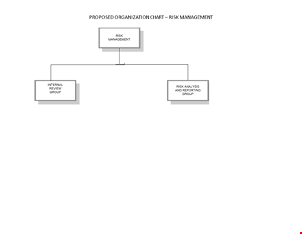 risk management organization chart template template