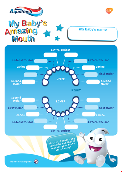 download a free printable baby teeth chart - keep track of your child's milestones! template