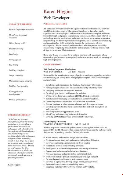 web developer resume template template