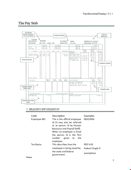 generate professional pay stubs | easy-to-use employee pay stub template template