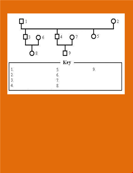 create engaging genograms with our customizable genogram template template