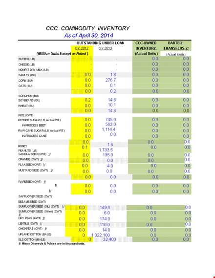 inventory report template