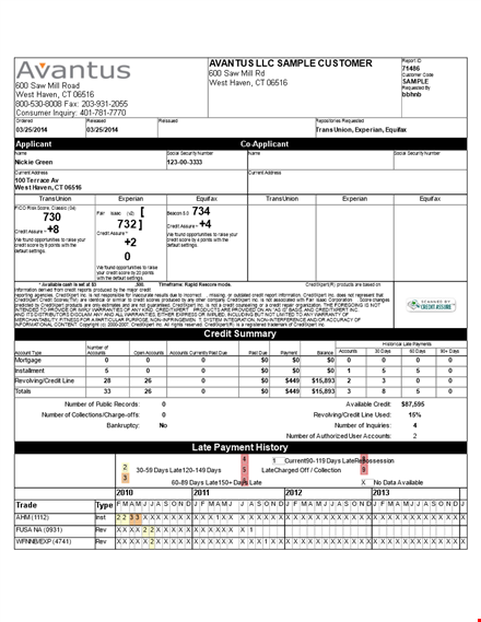 credit report template - quickly access and analyze credit information in real time template