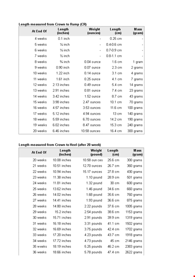 Fetal Weight Length Chart