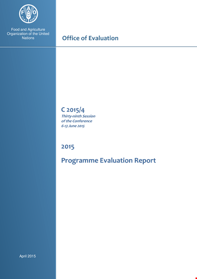 program evaluation report template