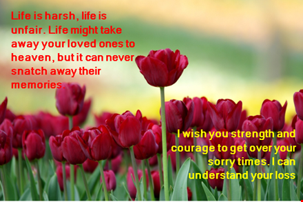 sympathy message template for offering sorry and strength template