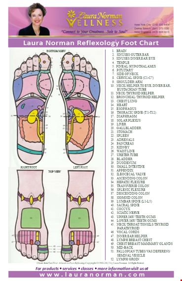 printable foot reflexology chart template