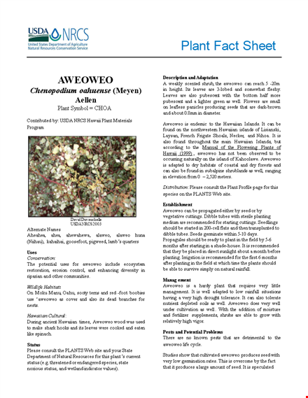 create professional fact sheets | easily showcase plant information - hawaii template