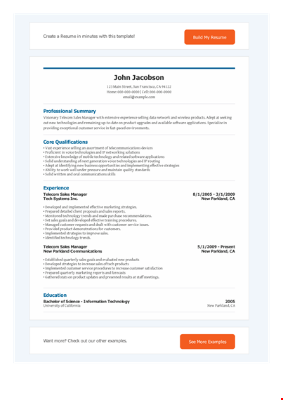 sales director telecom resume template