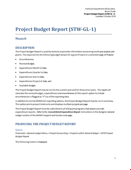 project budget report template