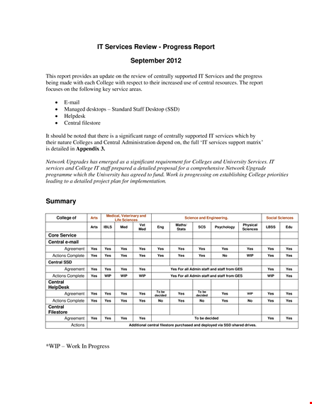 simple it service progress report template