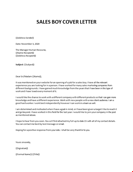 simple application letter for a sales boy