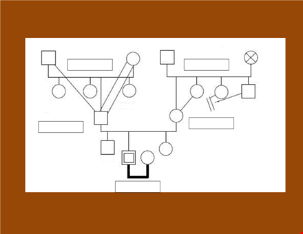 create an accurate family tree: free genogram template template