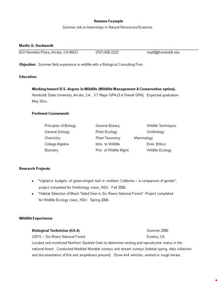 resume format for internship template