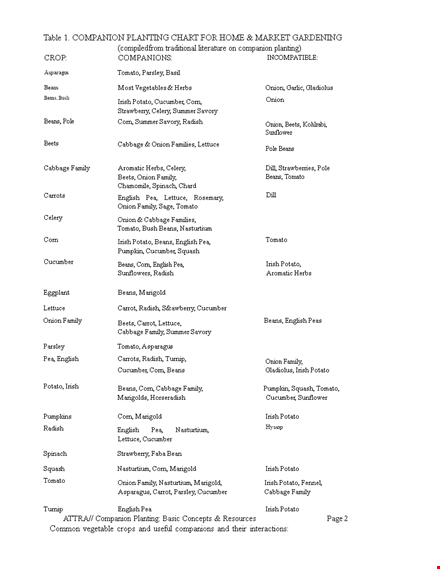 companion planting chart for cabbage, beans, cucumber, and tomato template