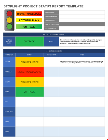 track your project status and risks with our template template