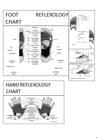 foot reflexology chart - benefits of upper and lower foot template