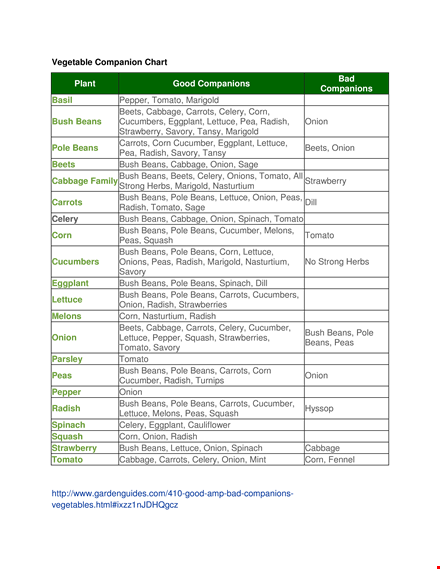 vegetable companion planting chart template