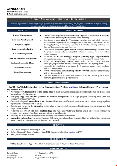 experienced professional resume format - project management, software projects template