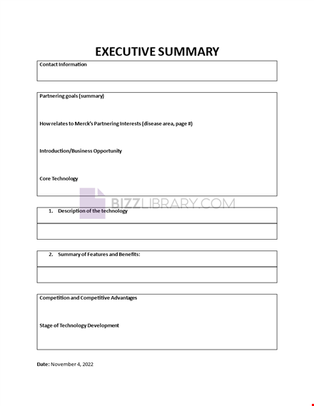 management executive summary template