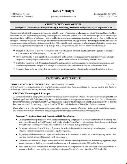 it executive resume example template