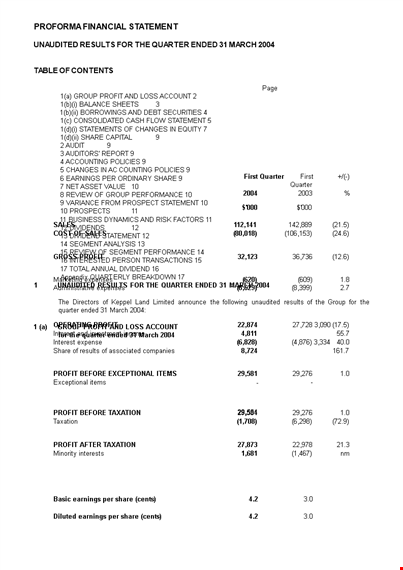 pro forma income statement template