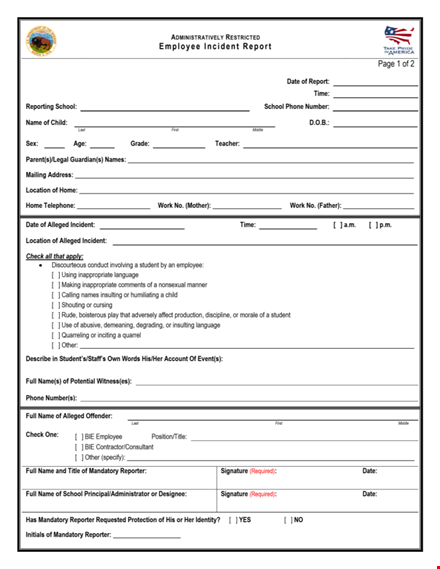 employee incident template