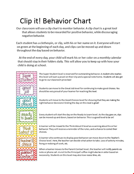 daily behavior chart template template