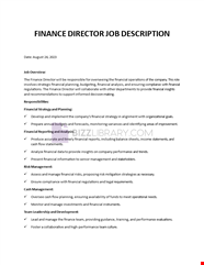 Finance Director Job Description