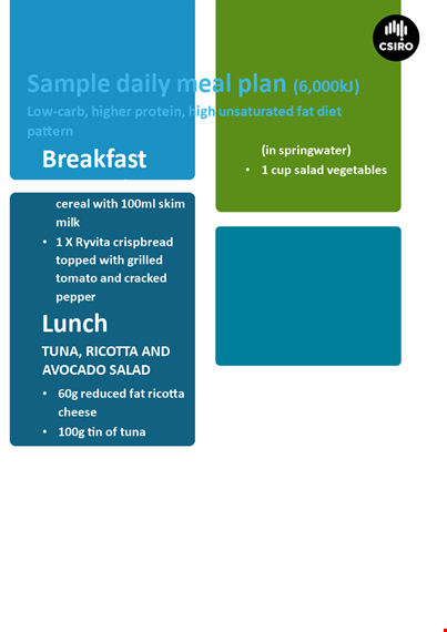 daily meal plan template template