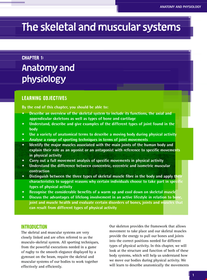 skeletal muscle chart template