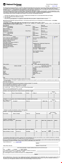 personal financial statement template | schedule credit & information with spouse template