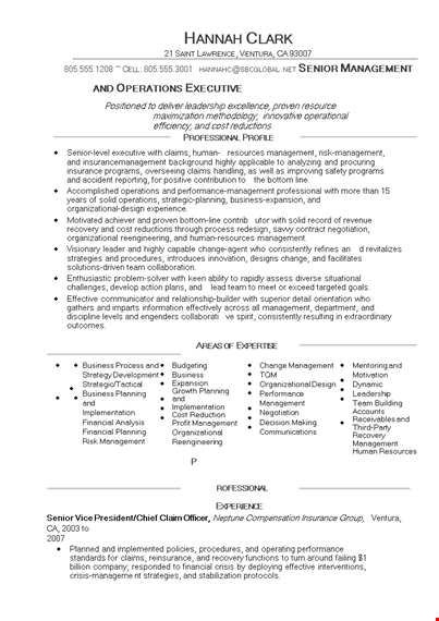 operations manager resume example template